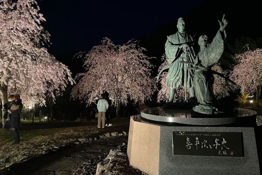 六日町の桜の名所「銭淵公園」の幻想的な夜桜を見に行こう／南魚沼市