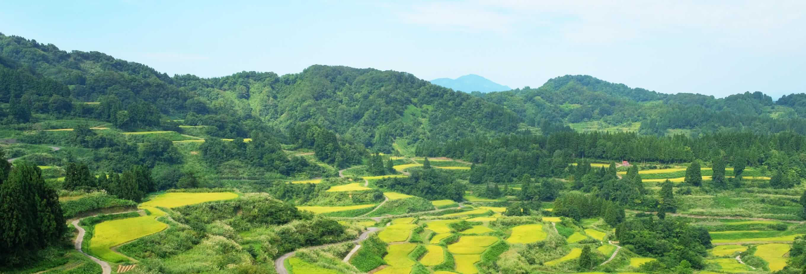 新潟県観光協会について