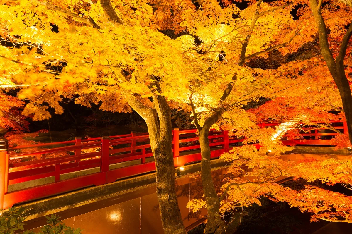 編集部がガチで厳選!行ってよかった紅葉スポット5選!