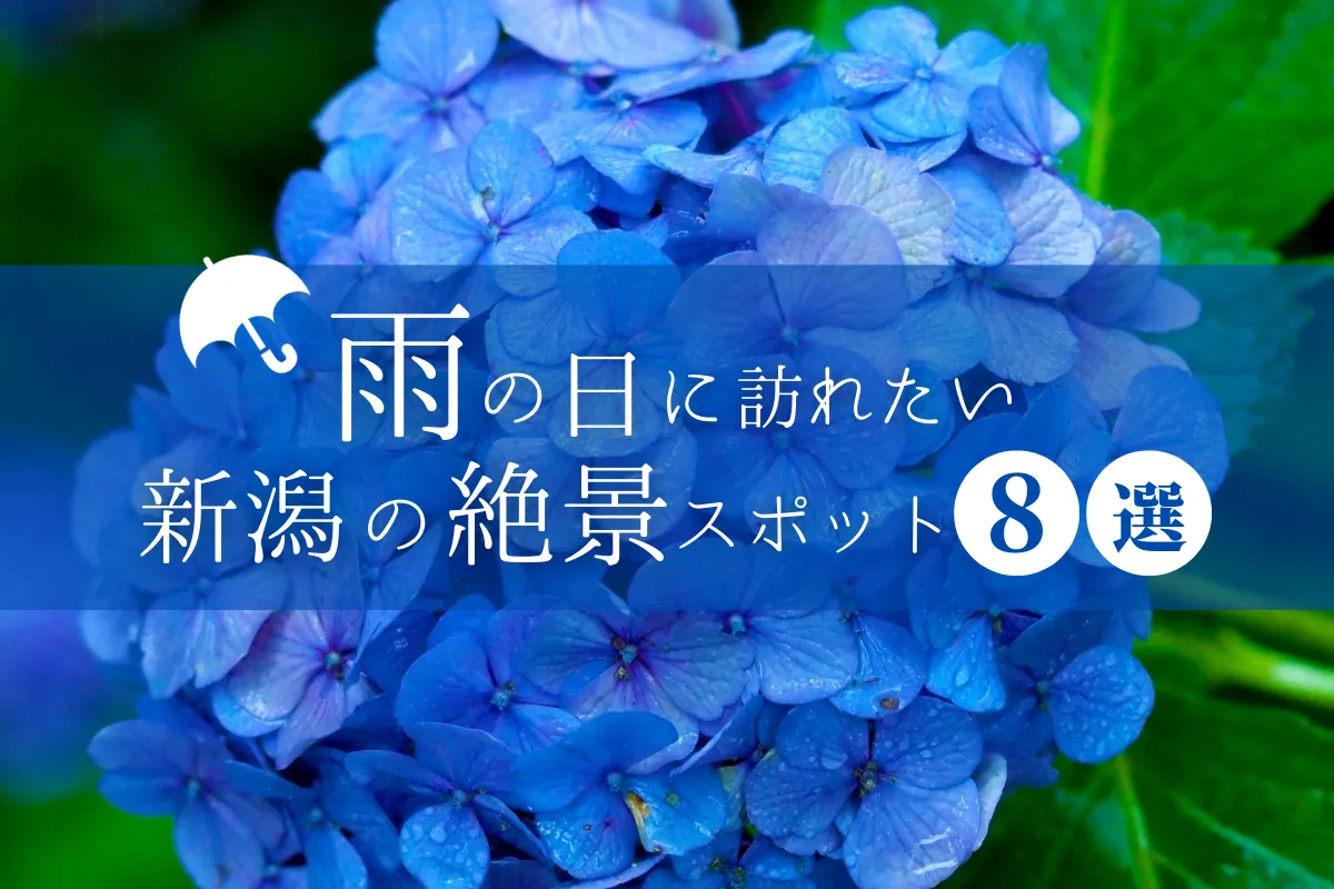雨の日に訪れたい絶景スポット8選