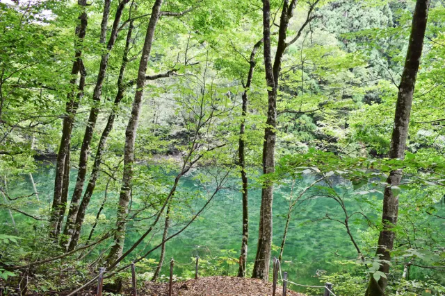 龍神伝説が残る神秘的な「龍ヶ窪」と、くつろぎの「むすびカフェ」※閉店/津南町