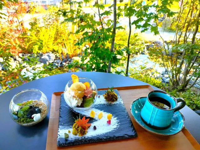 苔テラリウム作ってみよう!緑あふれる空間で「ごゆっくり」過ごすカフェ「5yukuri」/阿賀野市