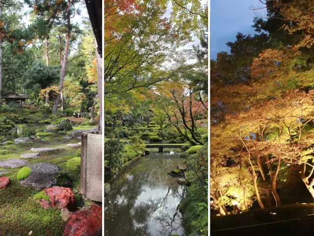 柏崎三大庭園紅葉めぐり|朝・昼・夜で味わう静かな秋の旅/柏崎市