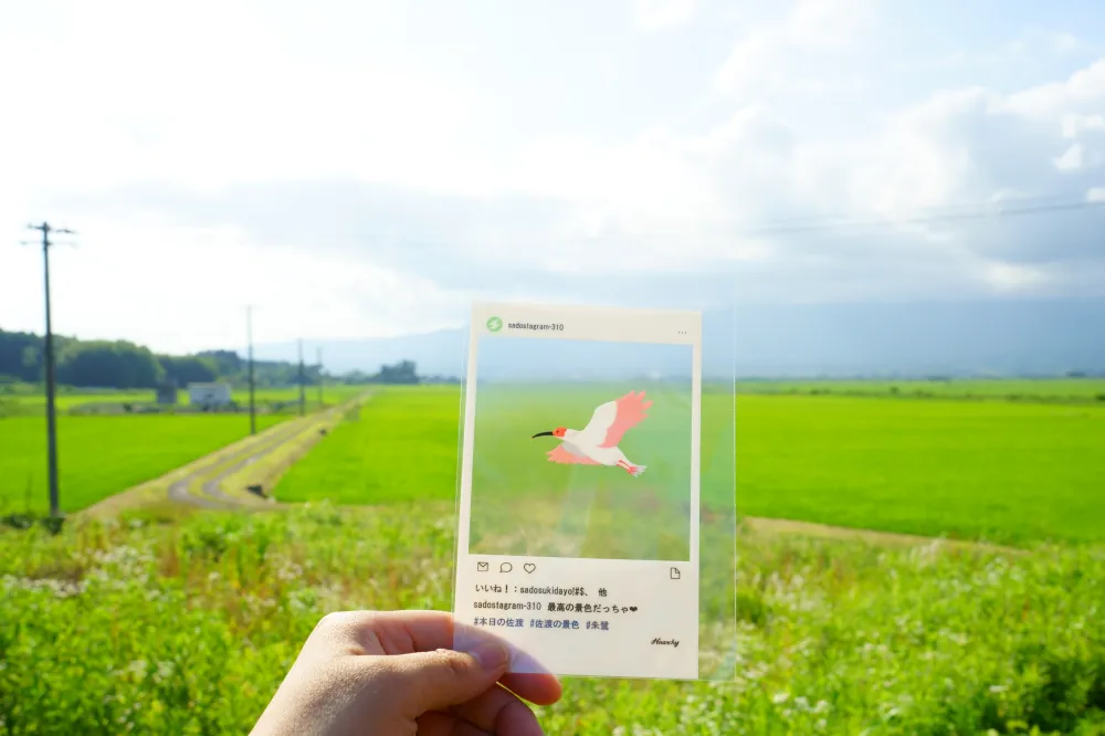 日帰り佐渡旅で素敵な5つのお店を巡ってみた!/佐渡市