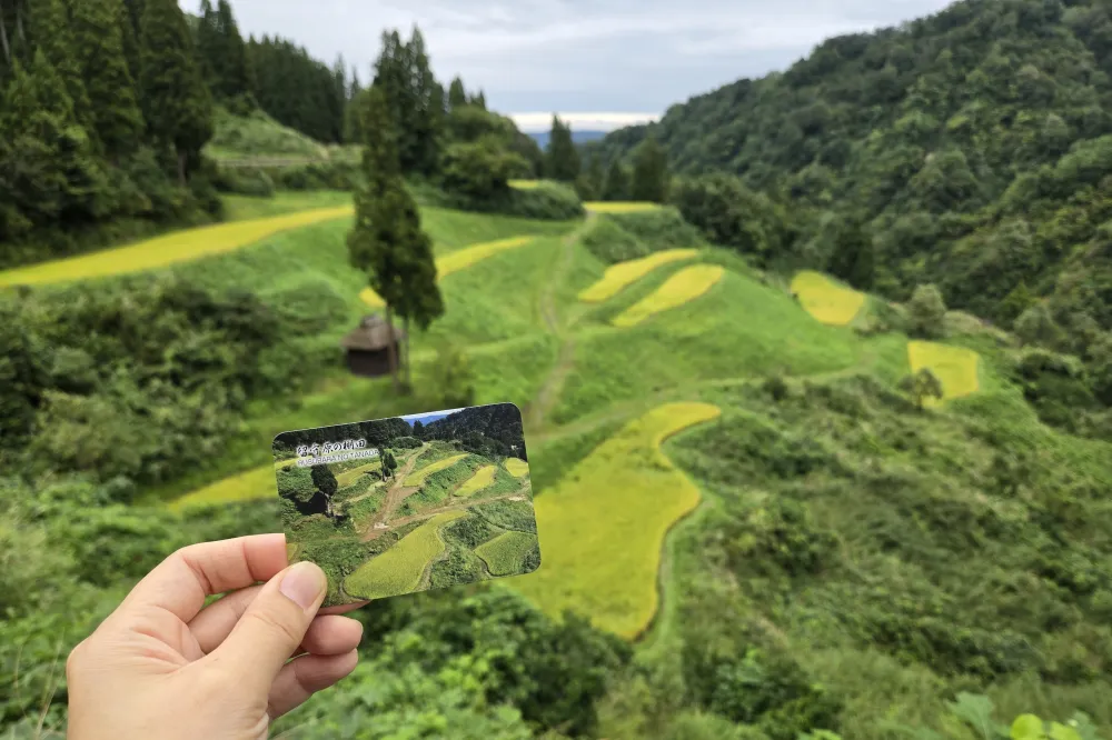 カード片手に宝探し気分!黄金色に輝く絶景と出会う秋の棚田ドライブ/十日町市