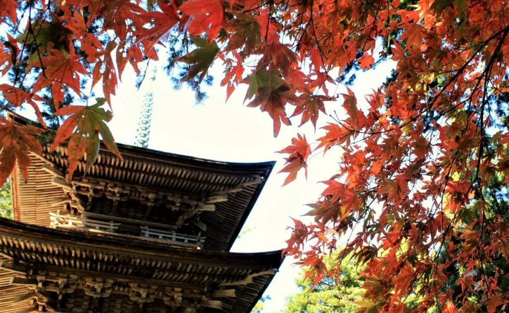 新潟県屈指の古寺「乙宝寺」など歴史的建造物をめぐる!村上・新発田・関川村の2Days