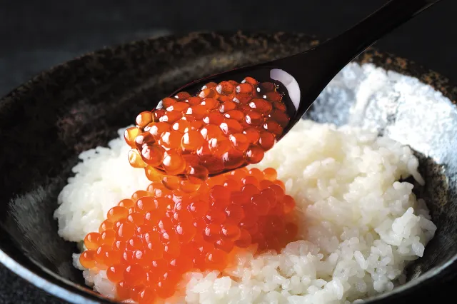 秋名物「はらこ丼」!鮭のまちで旬を味わう旅へ