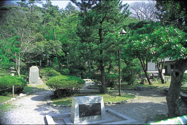 聚感園