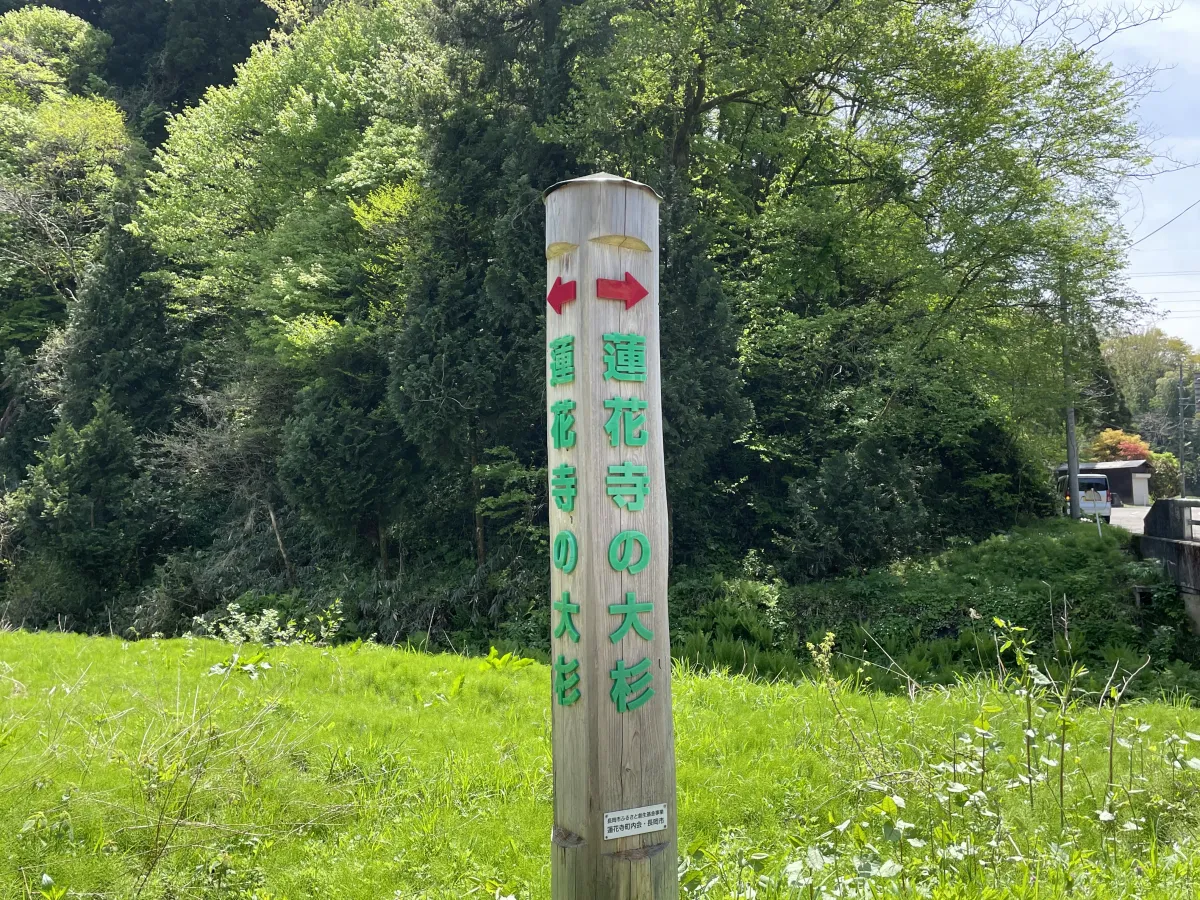 入口の目印