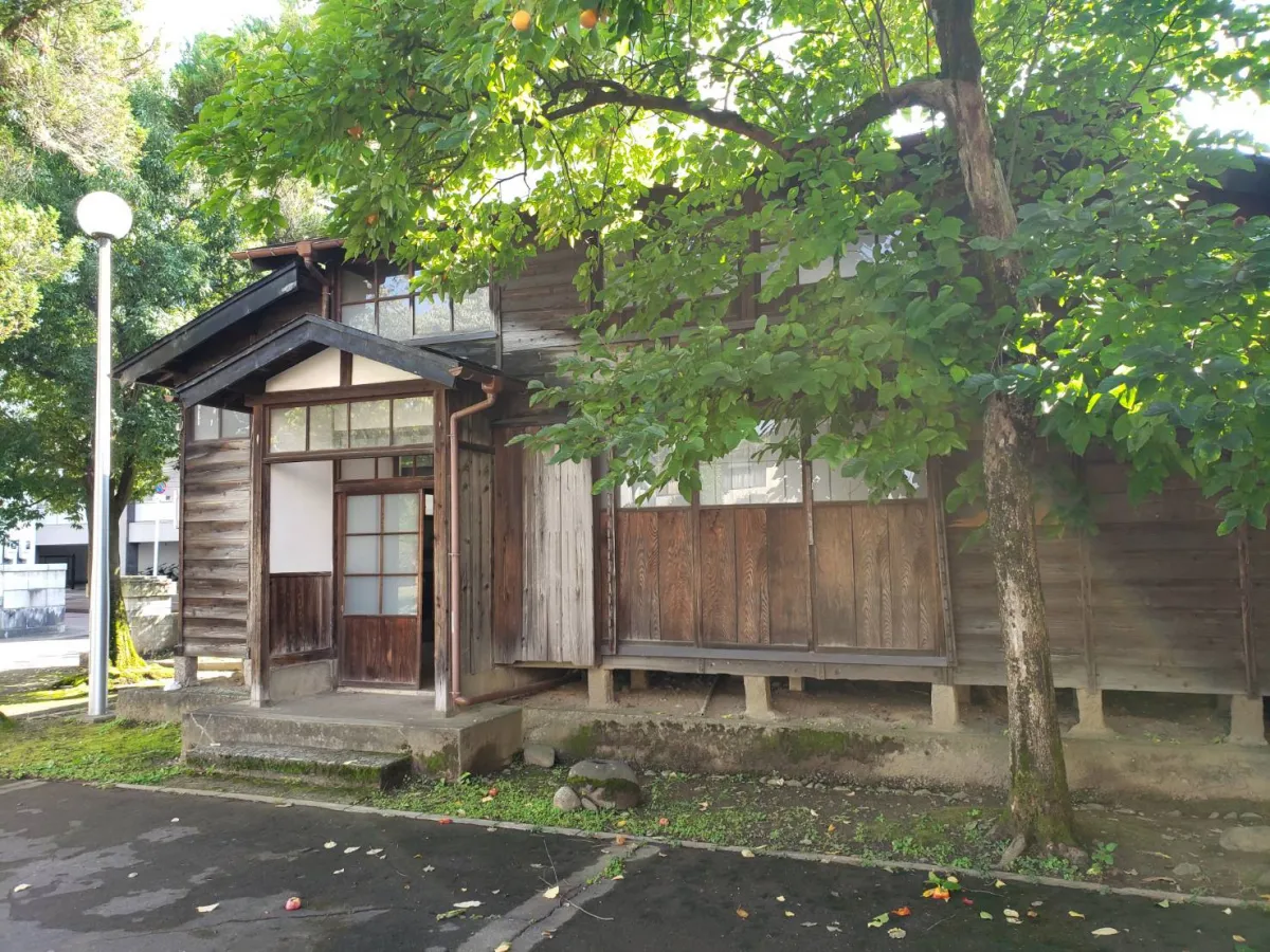 緑豊かな公園に建つ