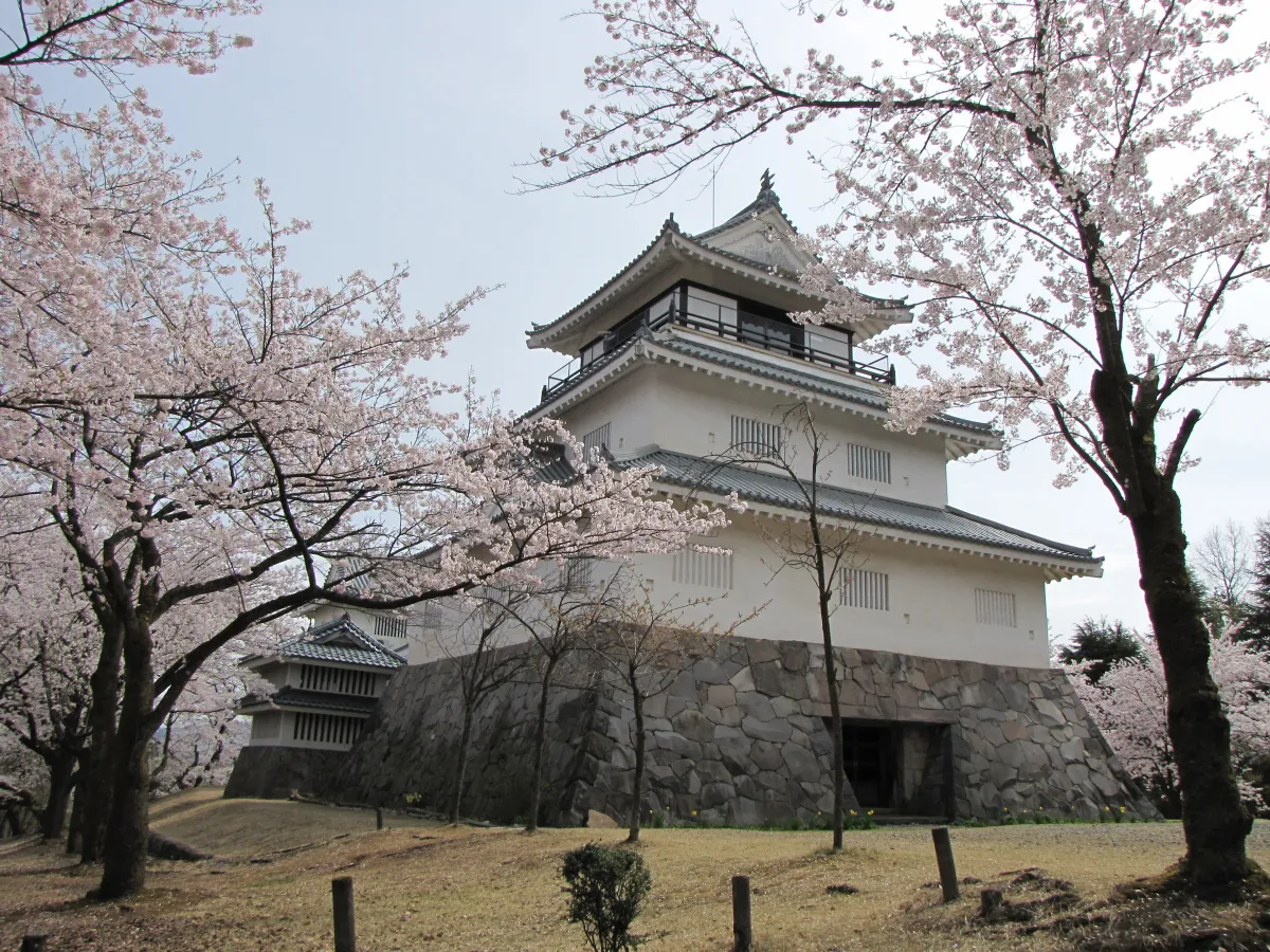 桜の時期の郷土史料館