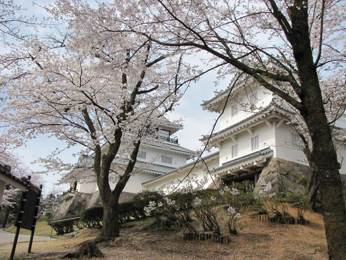 桜の時期の郷土史料館