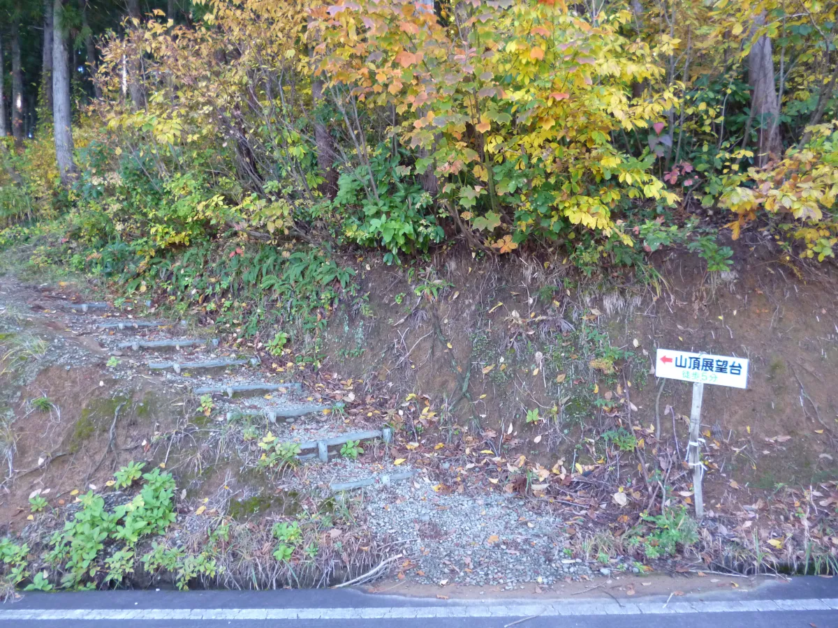 展望台への道