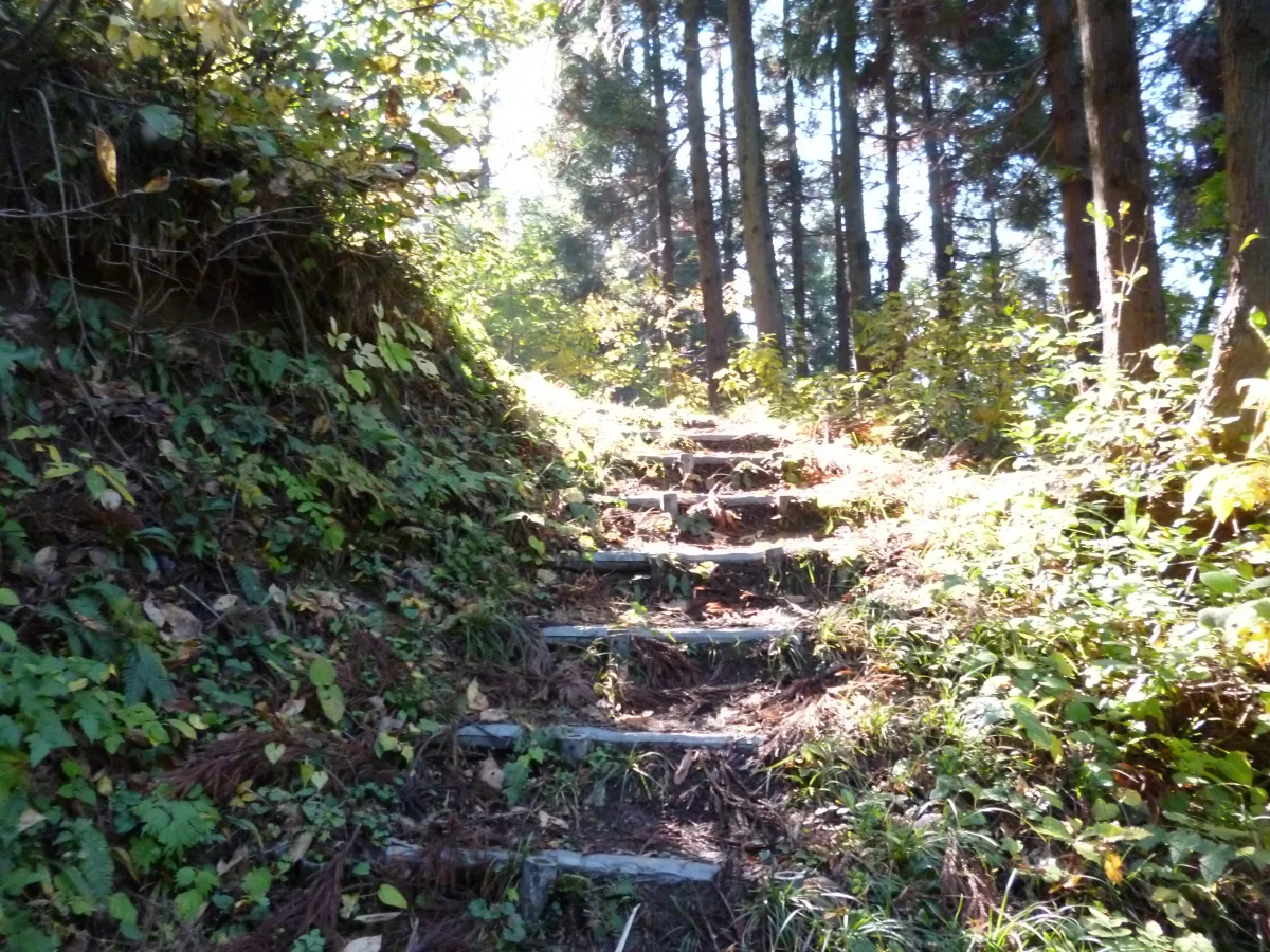 展望台への道