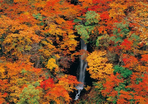 蛇淵の滝【秋山郷】