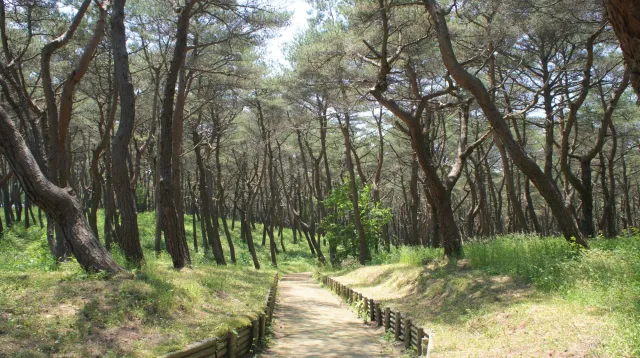 お幕場森林公園