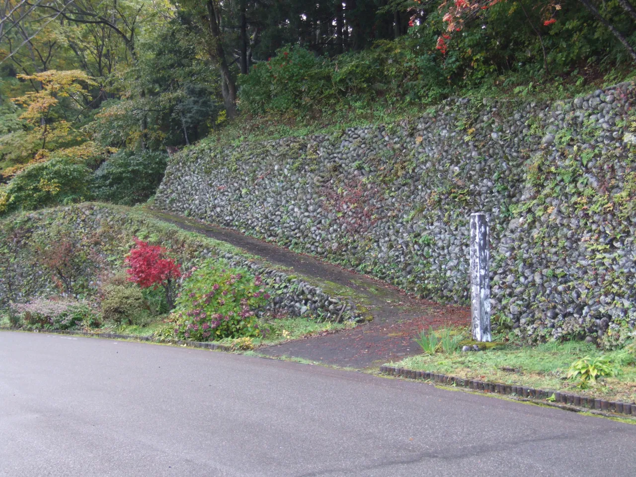 鷹の巣峠入口【関川村下川口側】