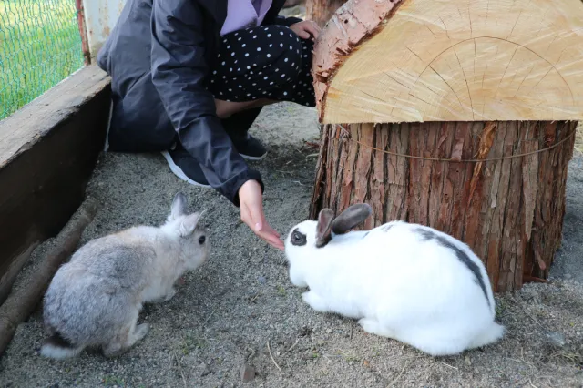 大石ダム湖畔県民休養地