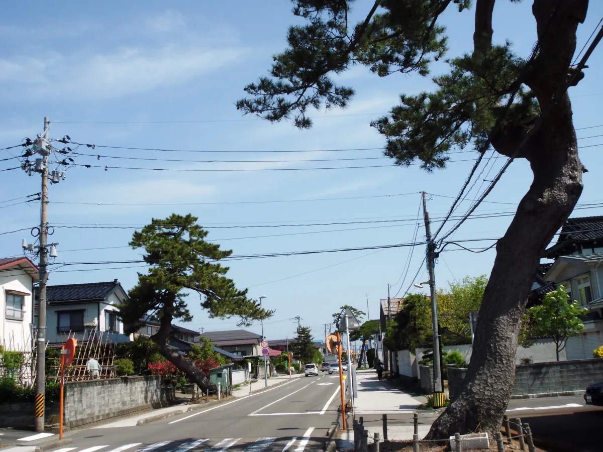 加賀街道