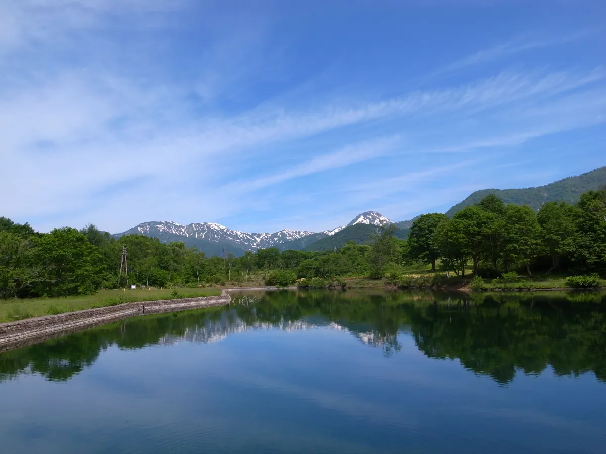 清水ヶ池(春)