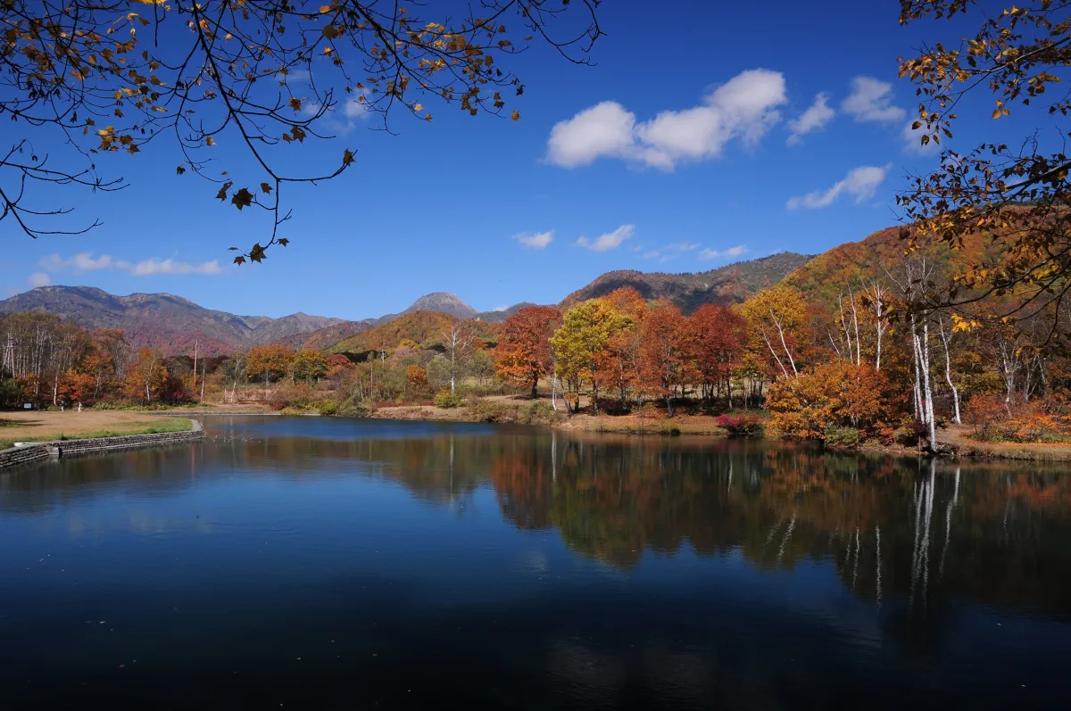 清水ヶ池(秋)