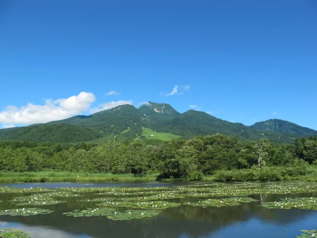 いもり池