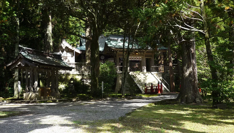 境内は鬱蒼とした木々に囲まれています。
