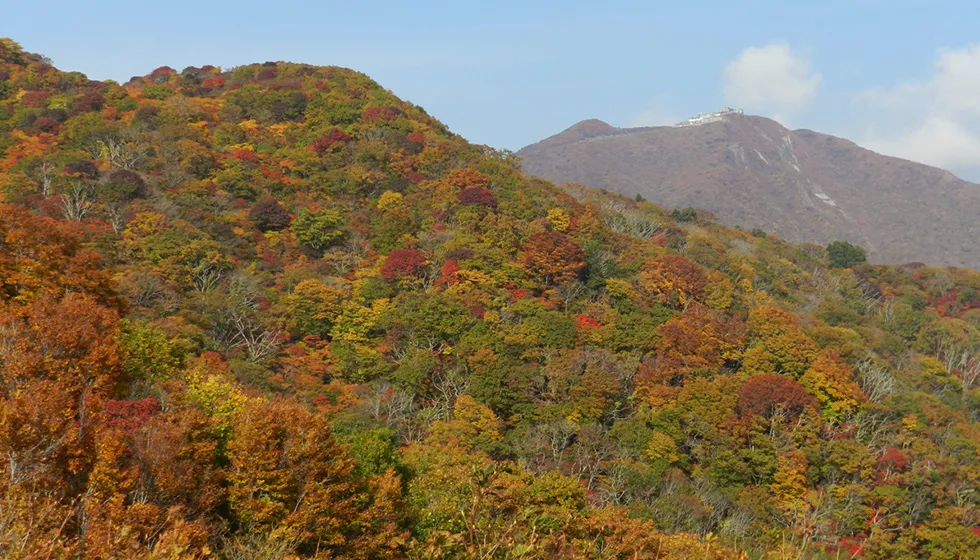 佐渡最高峰・金北山を望みます。