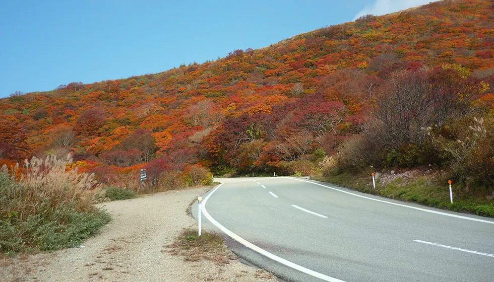 佐渡屈指の観光道路。