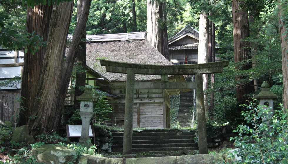 杉の巨木が林立する荘厳な雰囲気に包まれています。