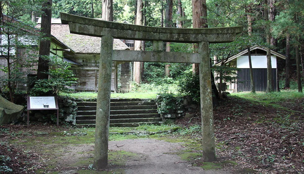 緑の芝生に映える茅葺屋根の能舞台が見えてきます。