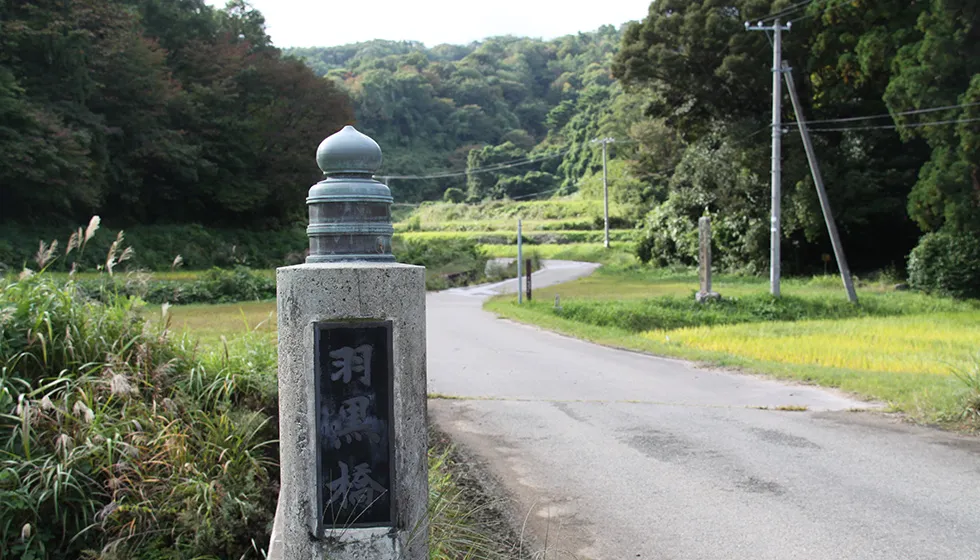 緑深い安養寺集落に鎮座しています。