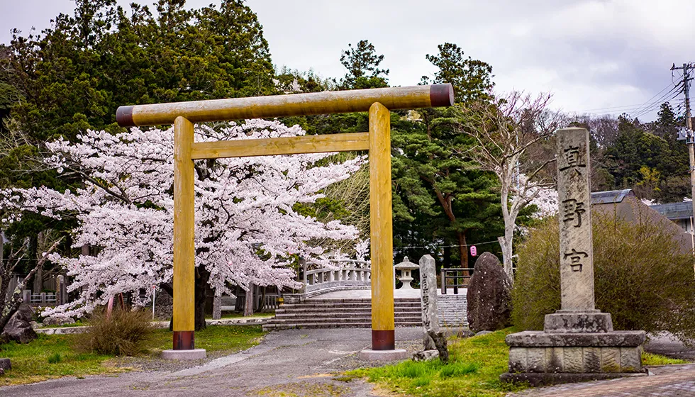 桜の名所・真野公園に隣接しています。