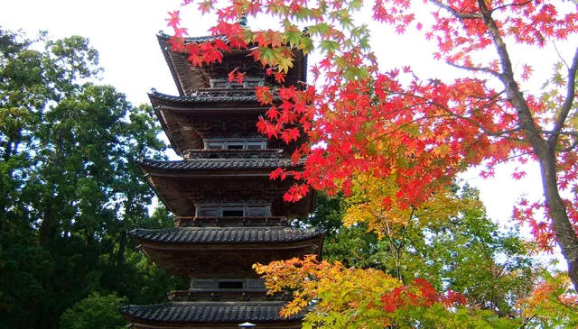 妙宣寺