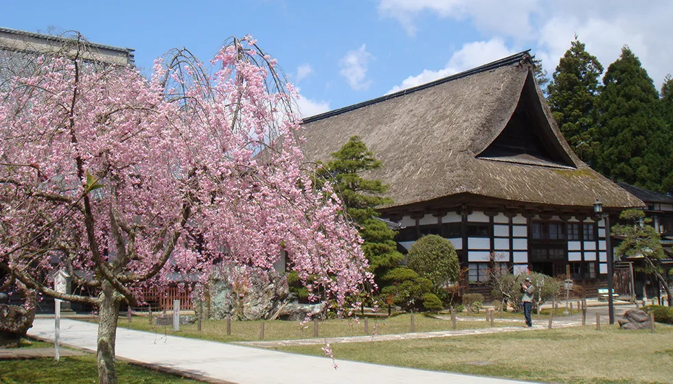 庫裏を望む春の光景。