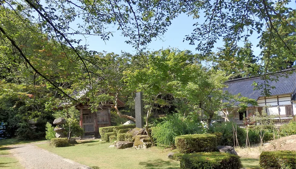 美しい緑の庭園。