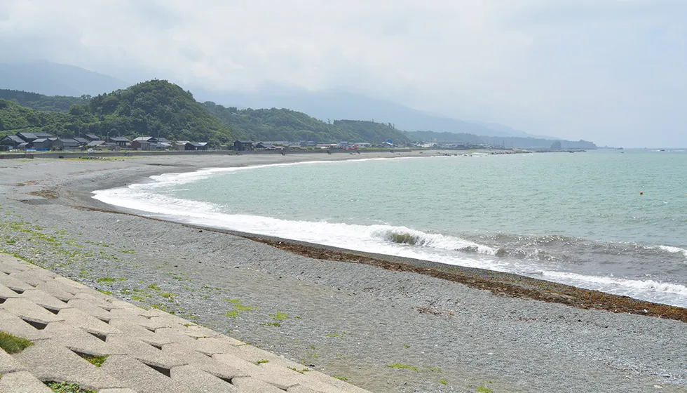 夏にはビーチパラソルの花が咲く入崎海水浴場