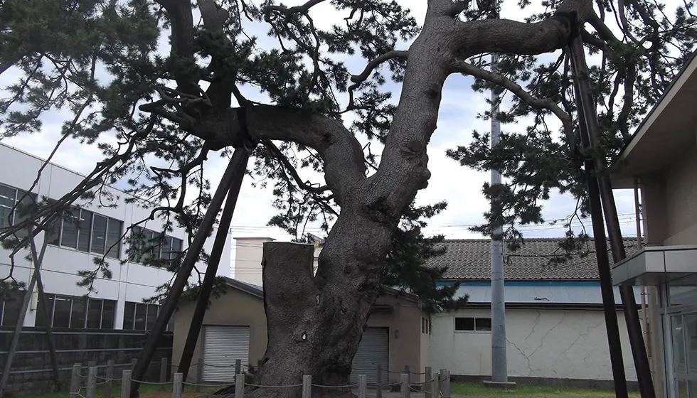 江戸時代には御番所が置かれていました。