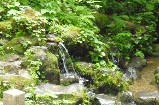 杜々の森湧水(とどのもりゆうすい)