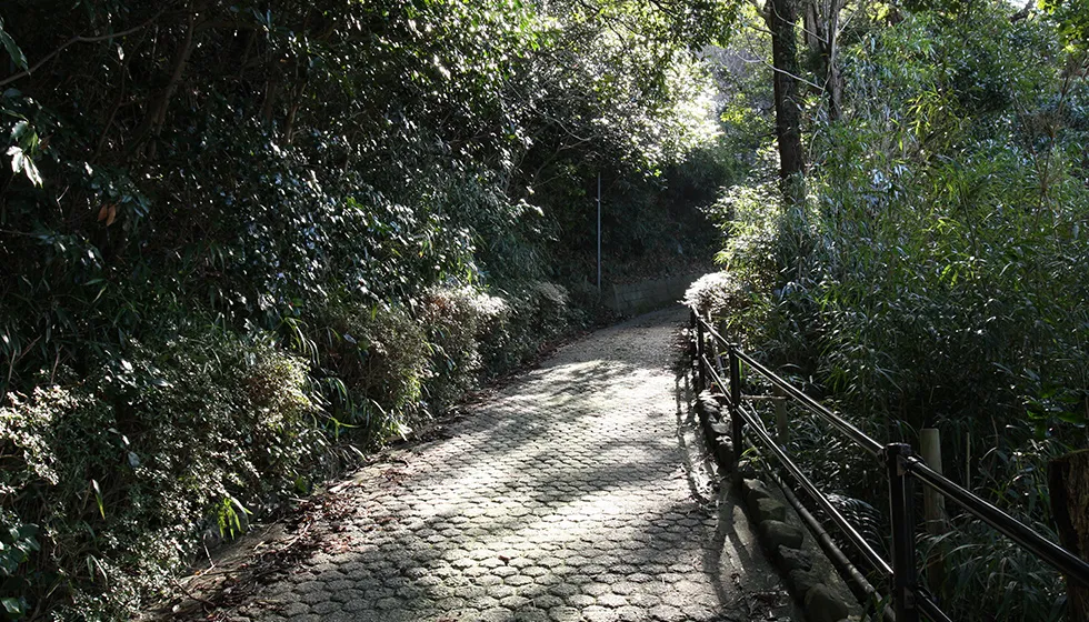 公園までは鬱蒼とした木々の坂道が続きます。