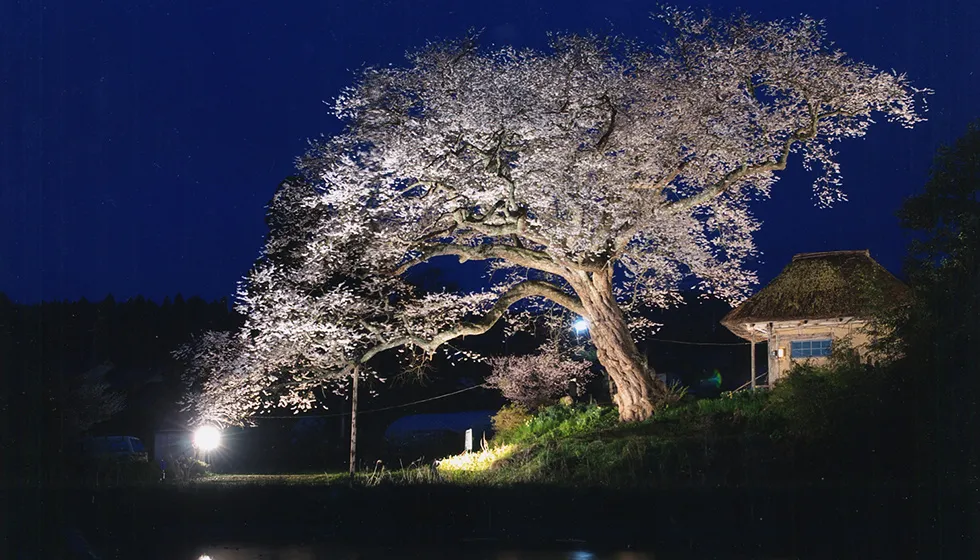 水を張った田んぼに映る光景も風情があります。