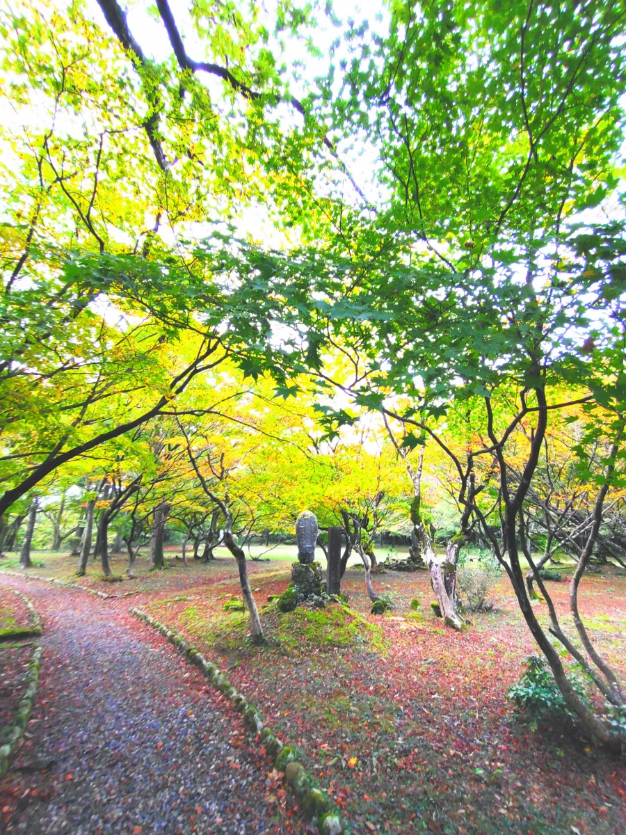 近くには湯沢観音公園があり、春はカタクリの群生、晩秋には紅葉の紅葉が美しい。