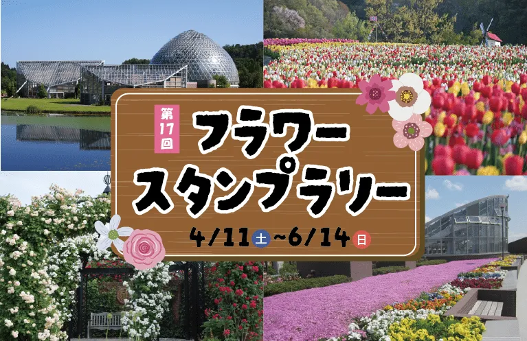 パンフレット