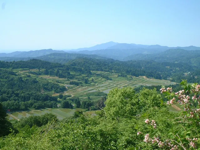 棚田風景(大島区)