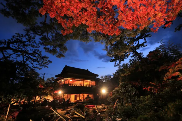 旧齋藤家別邸 紅葉ライトアップ