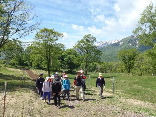妙高高原駅と笹ヶ峰高原を結ぶ「笹ヶ峰直行バス」。