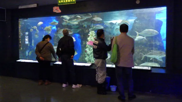 【寺泊水族博物館】高校生以上限定 ~大人のバックヤードツアー~