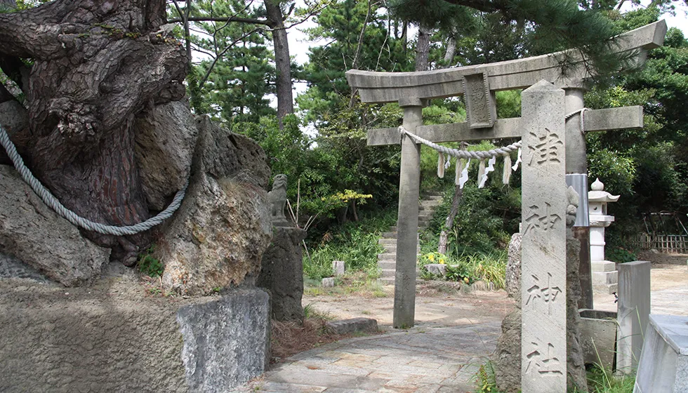 赤い橋の先には「安産の松」があります。