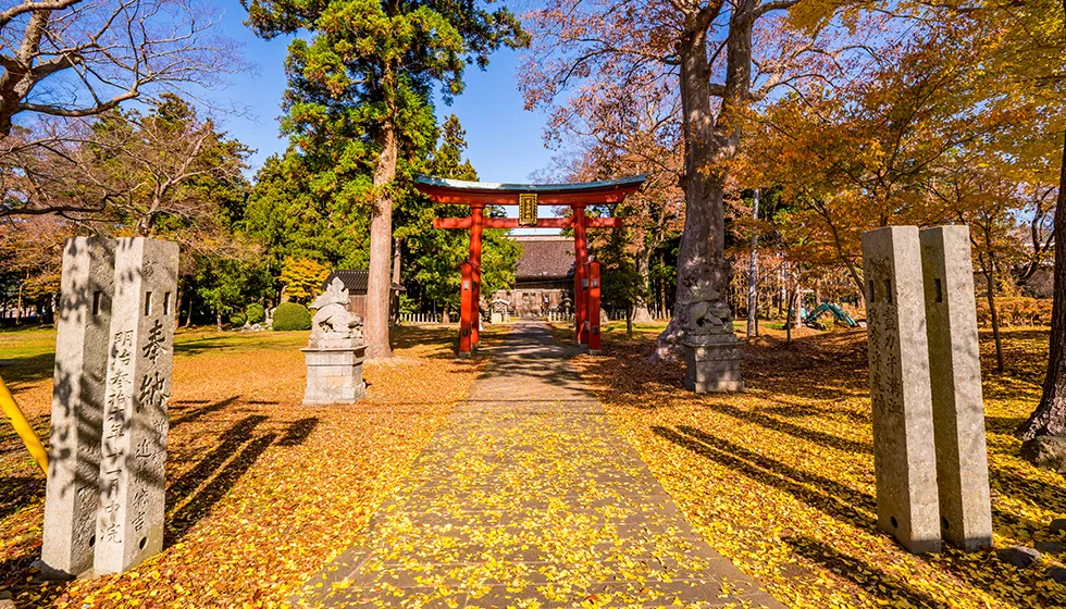 赤い両部鳥居が建つ広い境内。