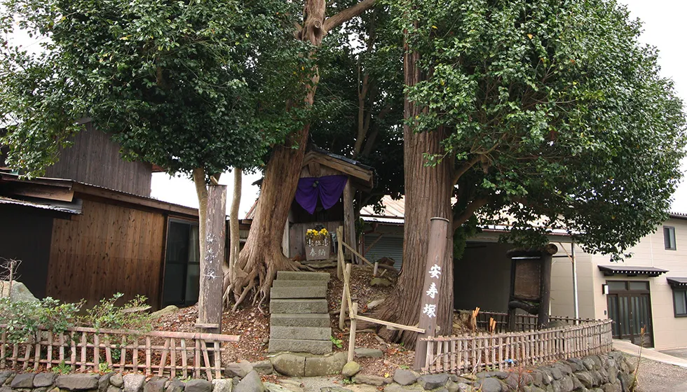 椿の木に護られるように鎮座しています。